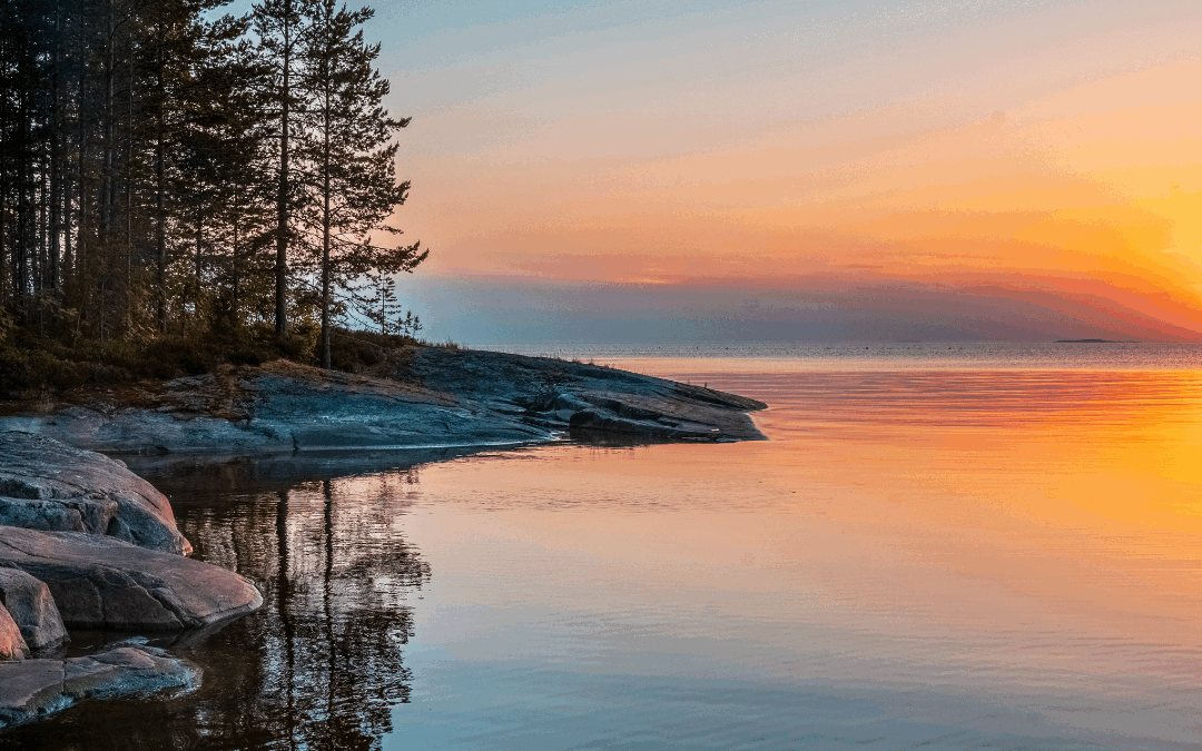 Returning to Stillness: Where Wisdom Lives ✨